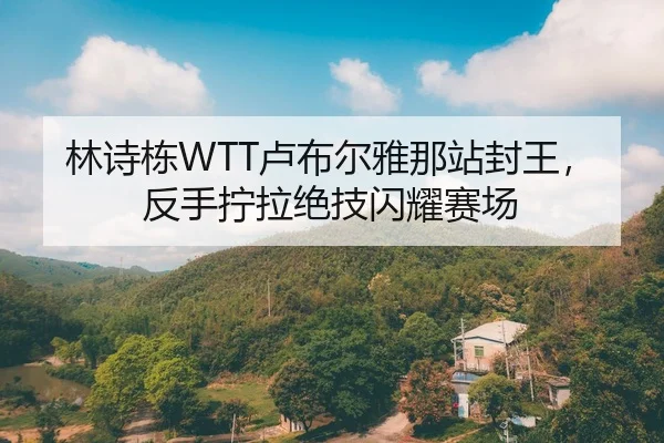 林诗栋WTT卢布尔雅那站封王，反手拧拉绝技闪耀赛场
