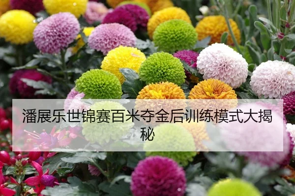 潘展乐世锦赛百米夺金后训练模式大揭秘