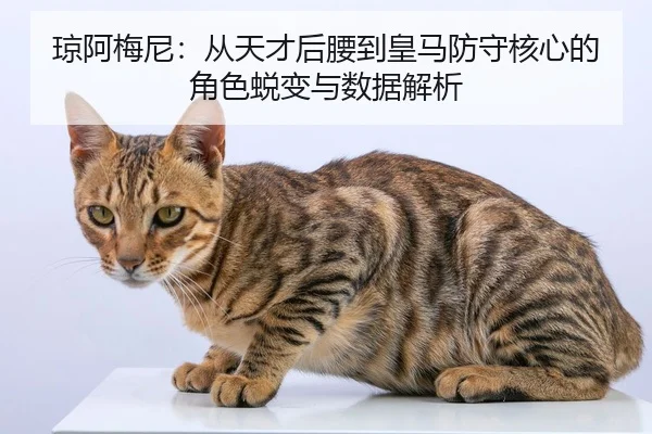琼阿梅尼：从天才后腰到皇马防守核心的角色蜕变与数据解析