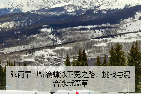 zhang-yu-fei-shi-jin-sai-die-yong-wei-mian-zhi-lu-tiao-zhan-yu-hun-he-yong-xin-pian-zhang-3-963.jpg