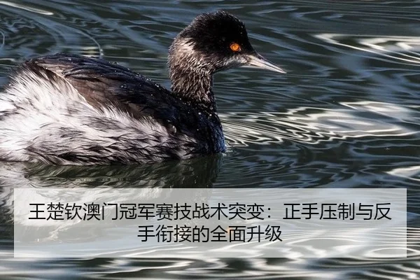 wang-chu-qin-ao-men-guan-jun-sai-ji-zhan-shu-tu-bian-zheng-shou-ya-zhi-yu-fan-shou-xian-jie-de-quan-mian-sheng-ji-1-470.jpg